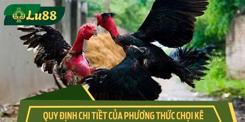 Quy định chi tiết của phương thức chọi kê truyền thống